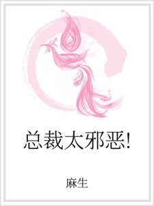 总裁太邪恶!
